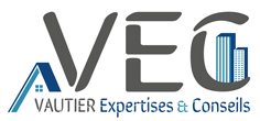 Logo VAUTIER Expertise & Conseils